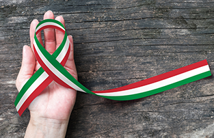 Donazione Raccolta fondi terremoto