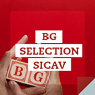 Soluzioni del Gruppo - BG Selection Sicav
